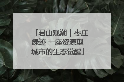 君山观潮｜枣庄绿迹 一座资源型城市的生态觉醒